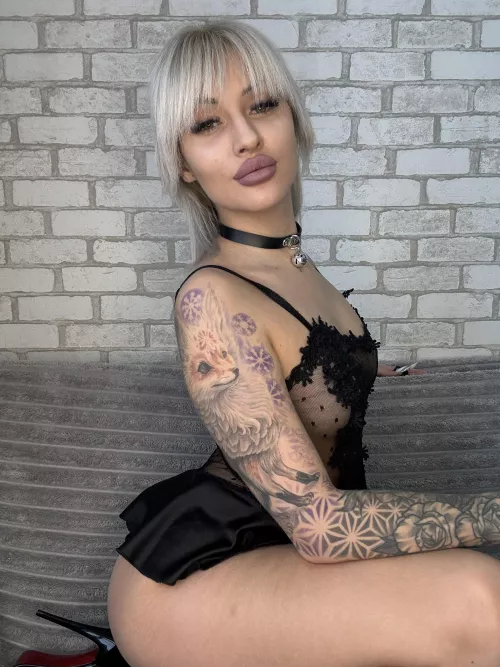 Ready to obey, collared