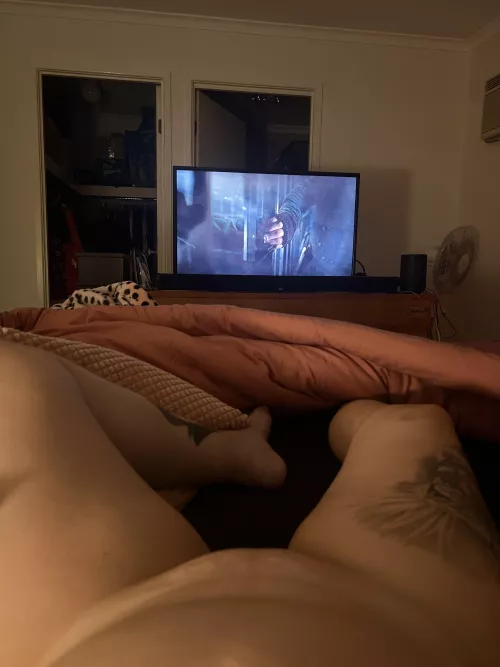 Short legs awaiting your arrival