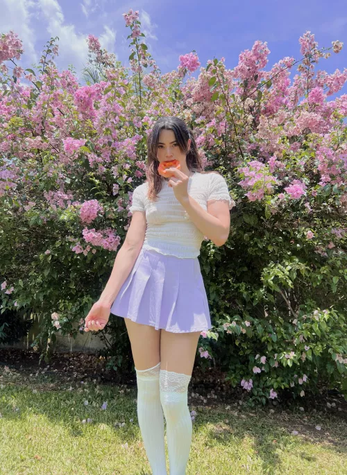 This papaya is sooo sweet you should taste it 