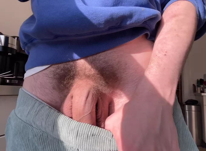 where the bush worshippers at? 