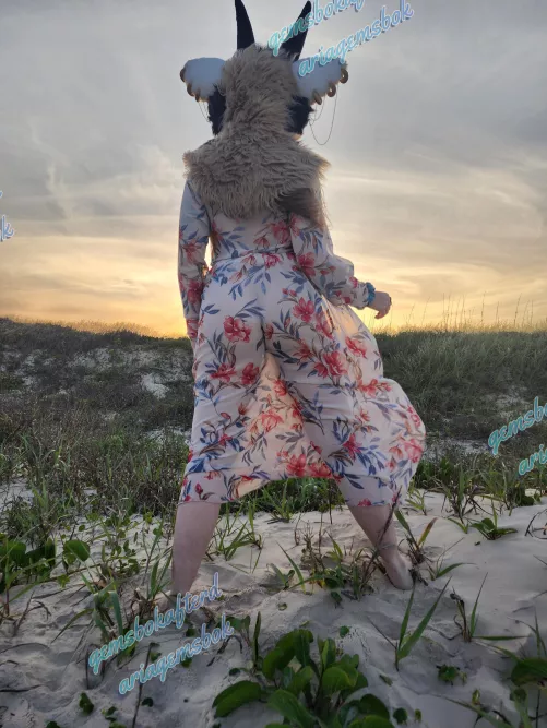 Would you come watch the sunset with me? 🌄