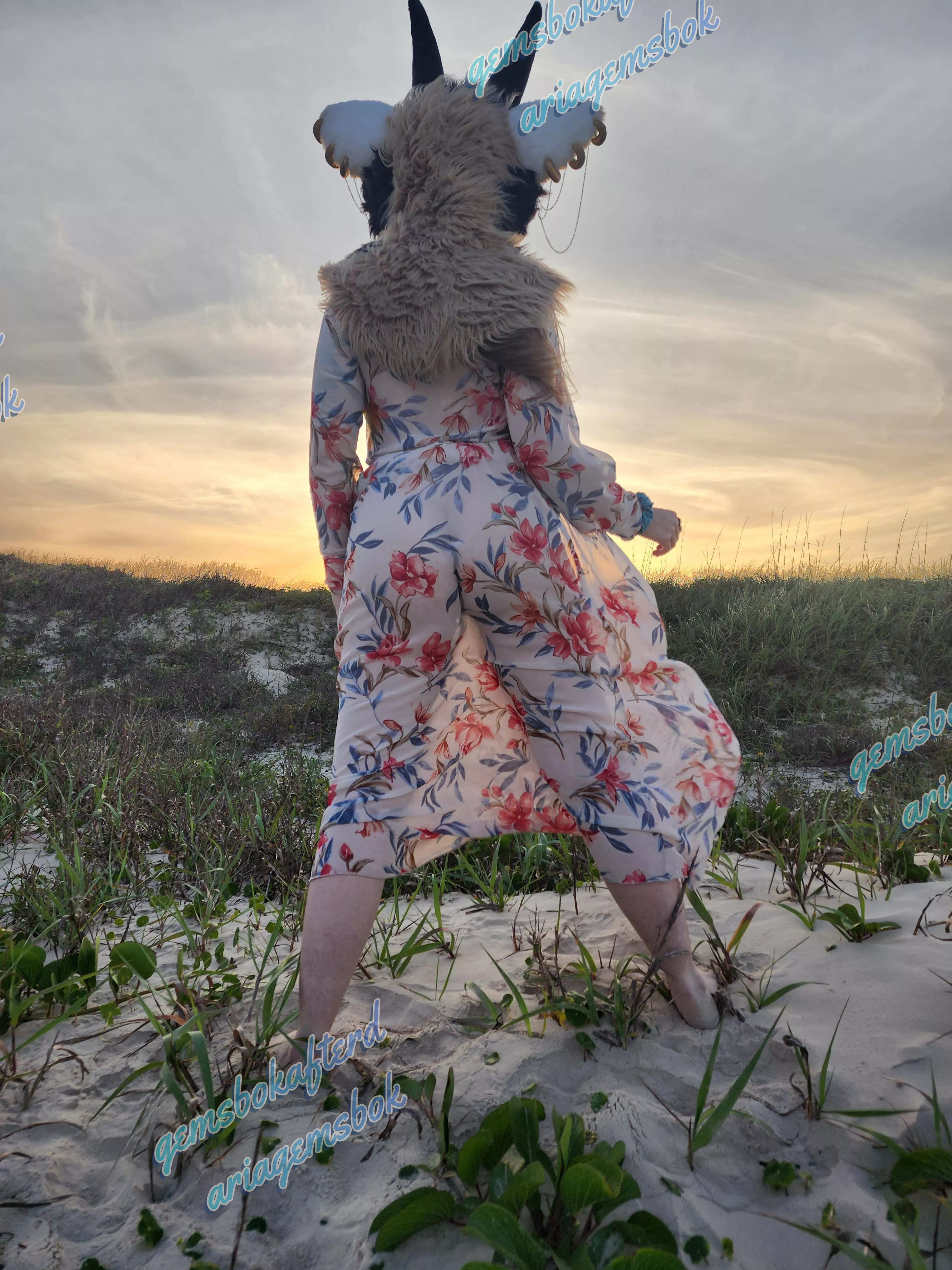 Would you come watch the sunset with me? 🌄