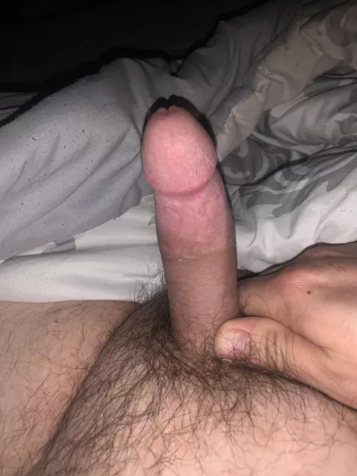 31 bi chubby 5inchs love being cut