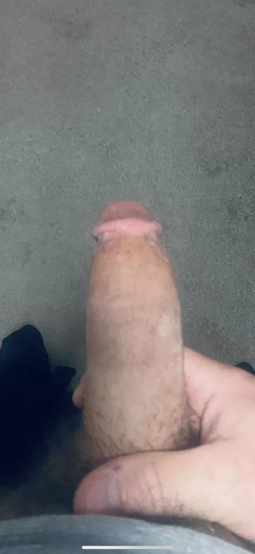 (50) Daddy wants to play ladies...