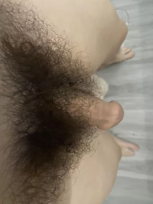 After the shower my pubes looks so musky