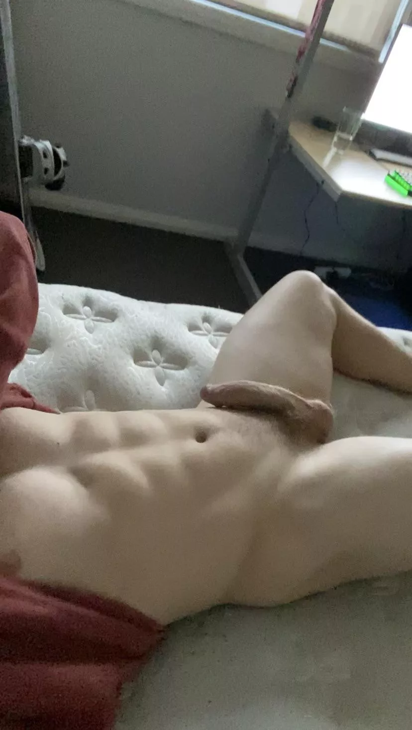 Are you into Aussie studs? 