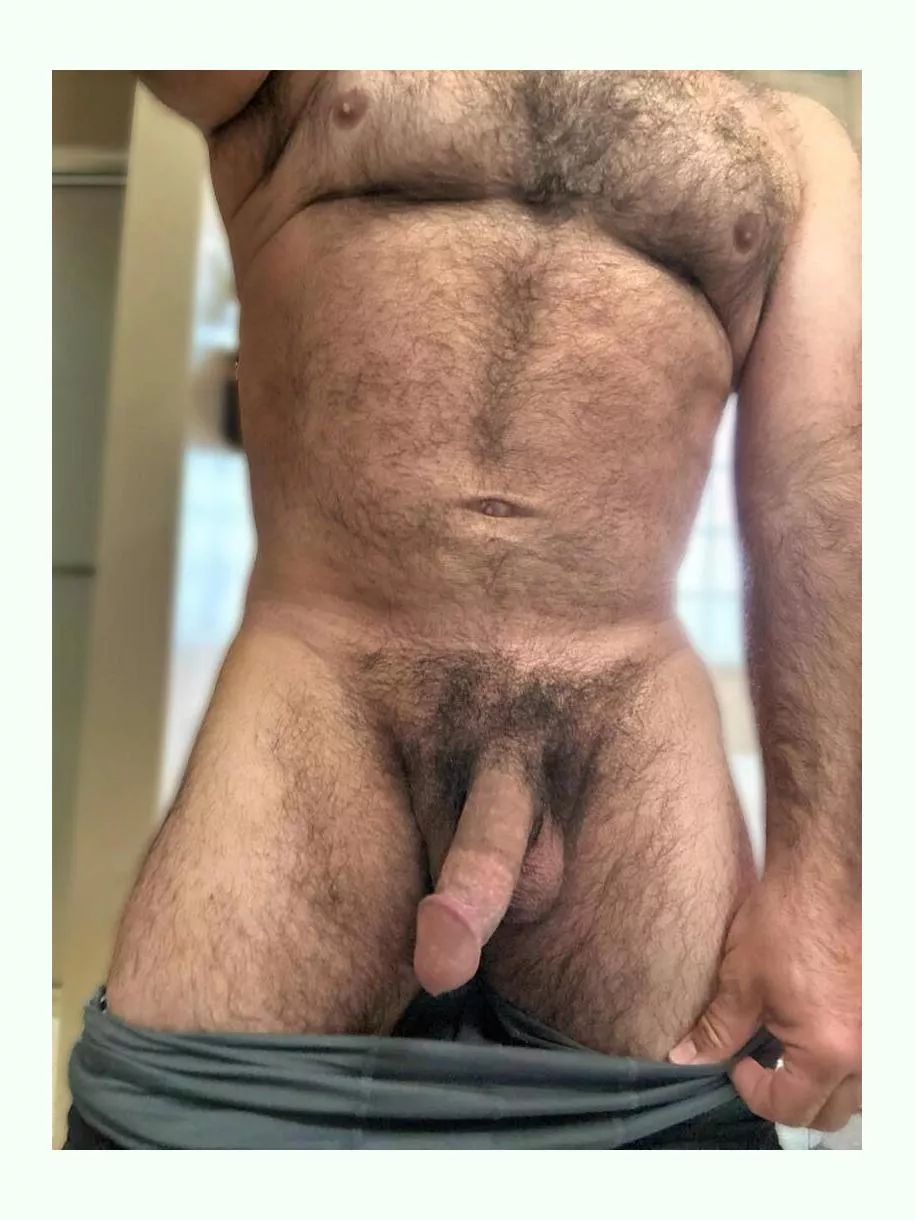 Do you prefeg the dad bod or the dad rod?