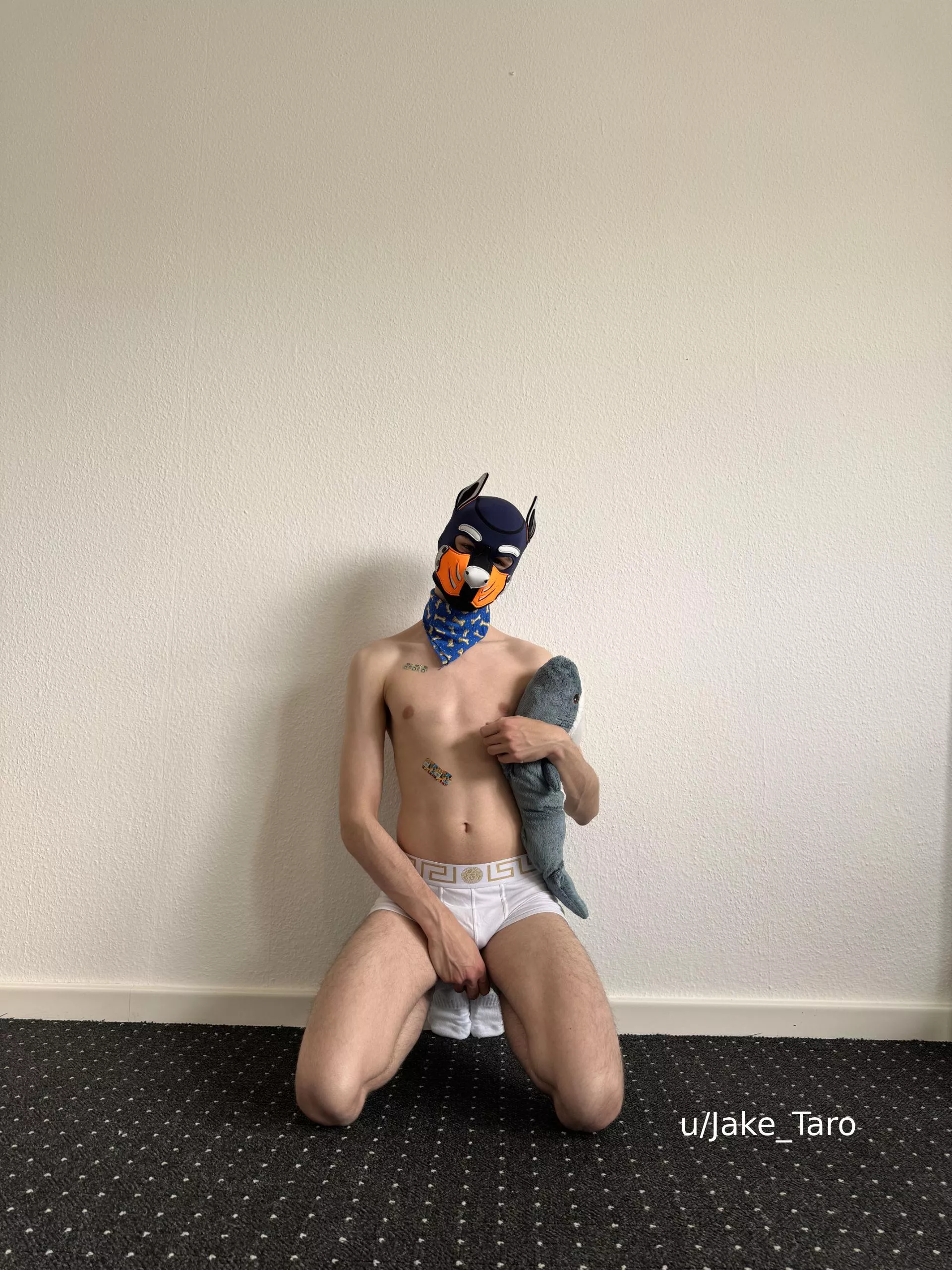 do you want cuddles?