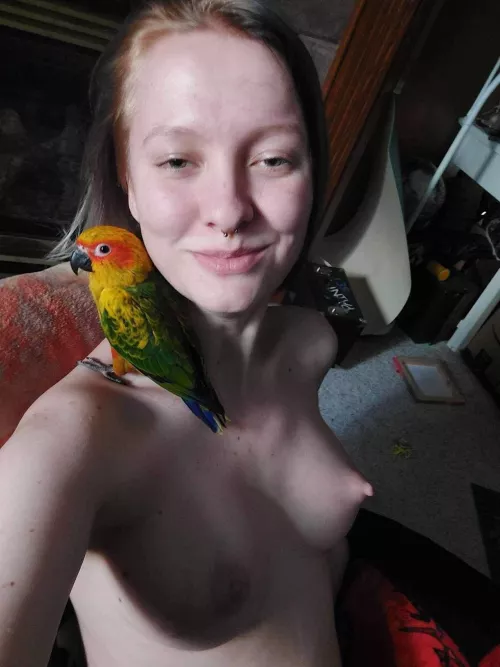 I love my conures 