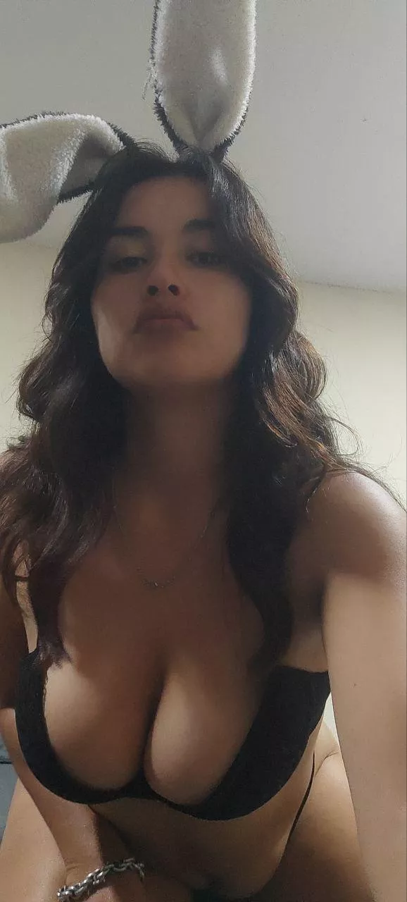 In search of my carrot