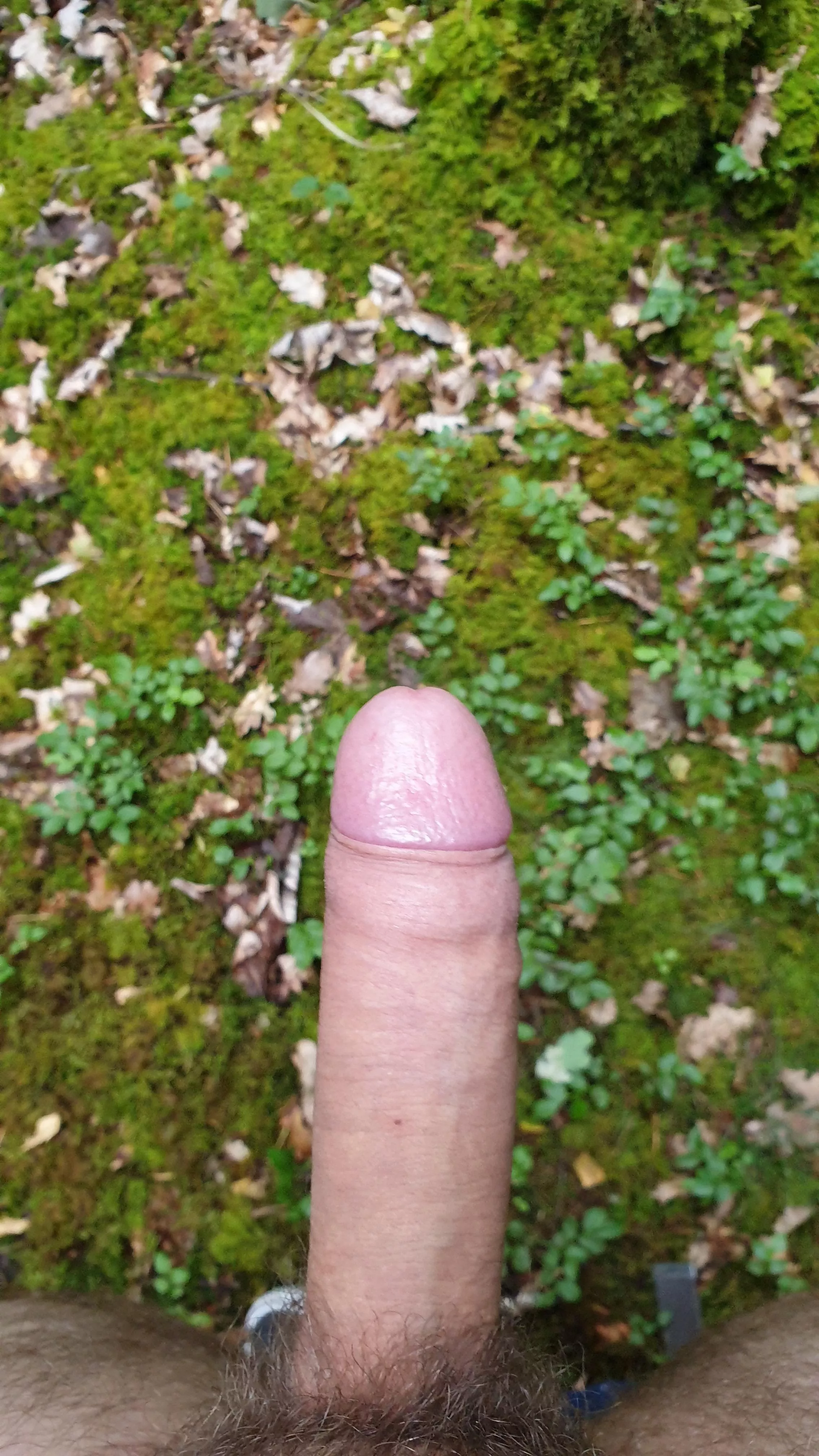 Just seconds before I spread my seed in the forest