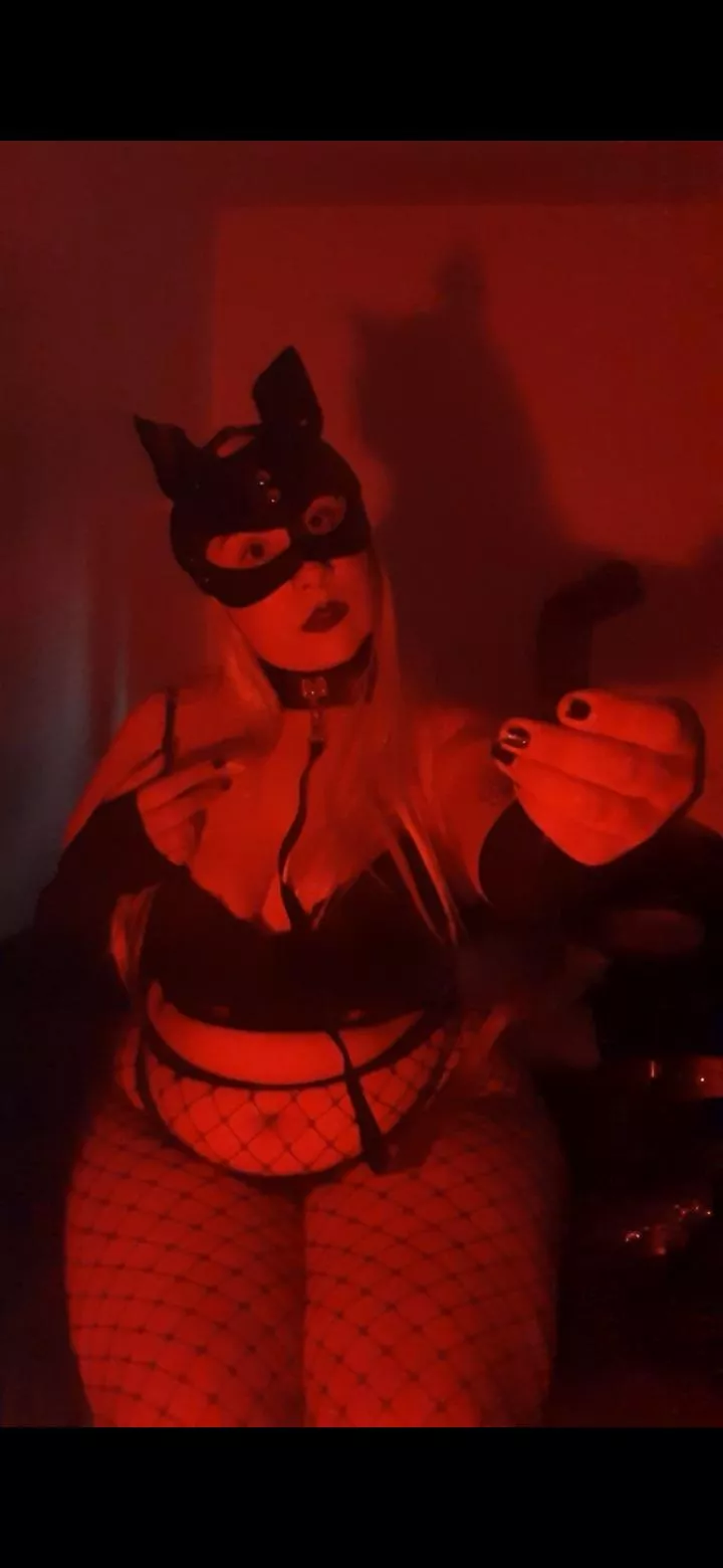 Let's go for a walk...