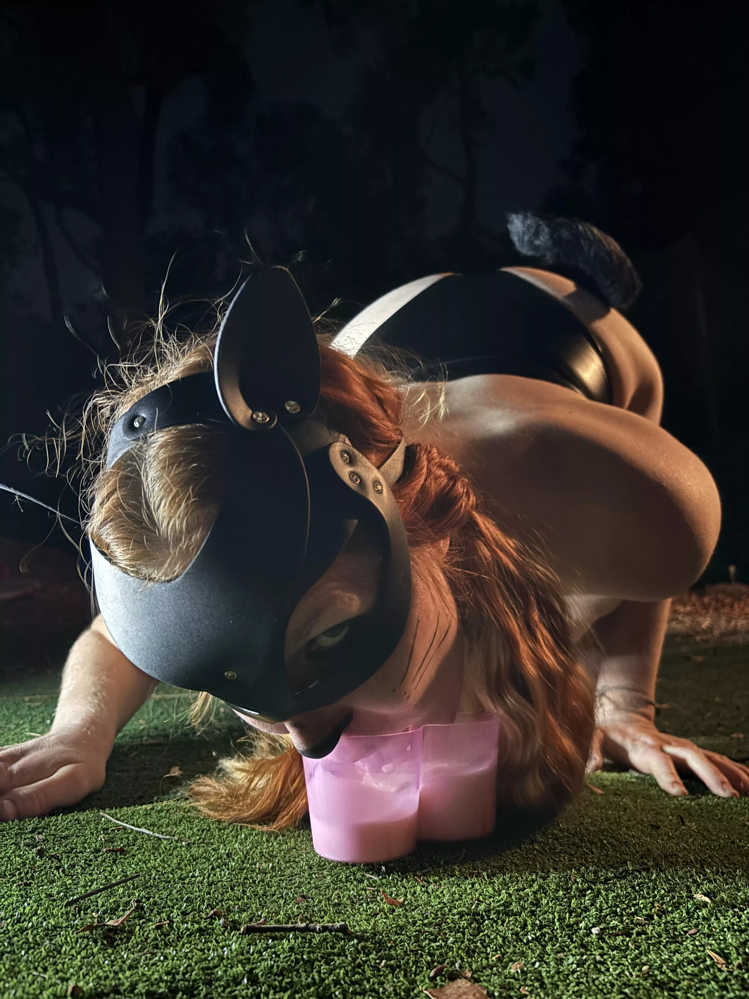 Meow! Kitty is thirsty [OC]