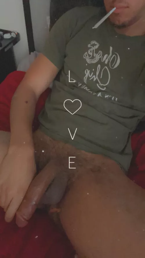 [M]y log 🪵 and my trees🍁🌳