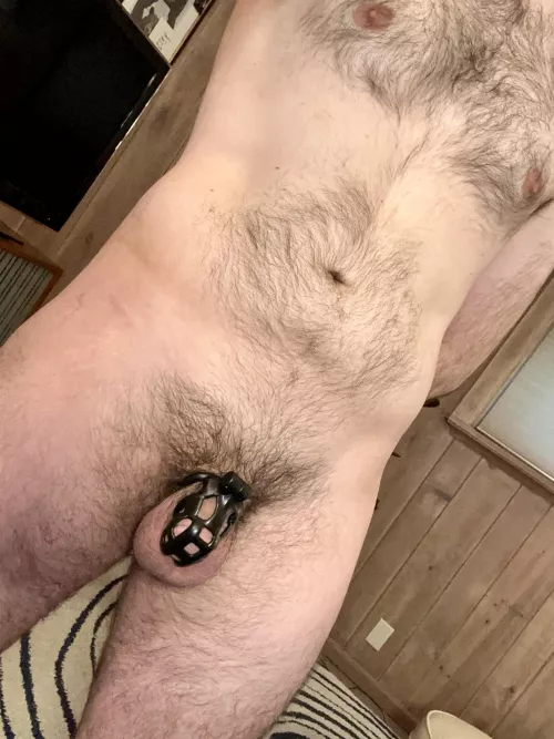 Not sure if anyone likes this here