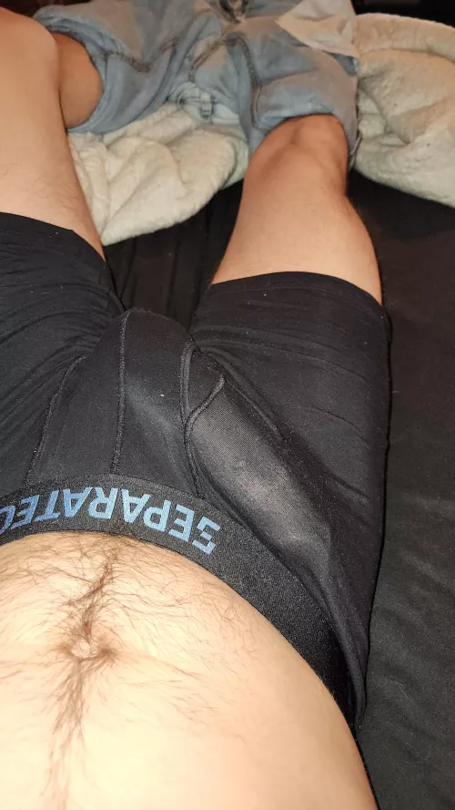 Outline in sheer boxers