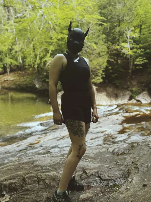 Puppy goes for a walk 🐾 