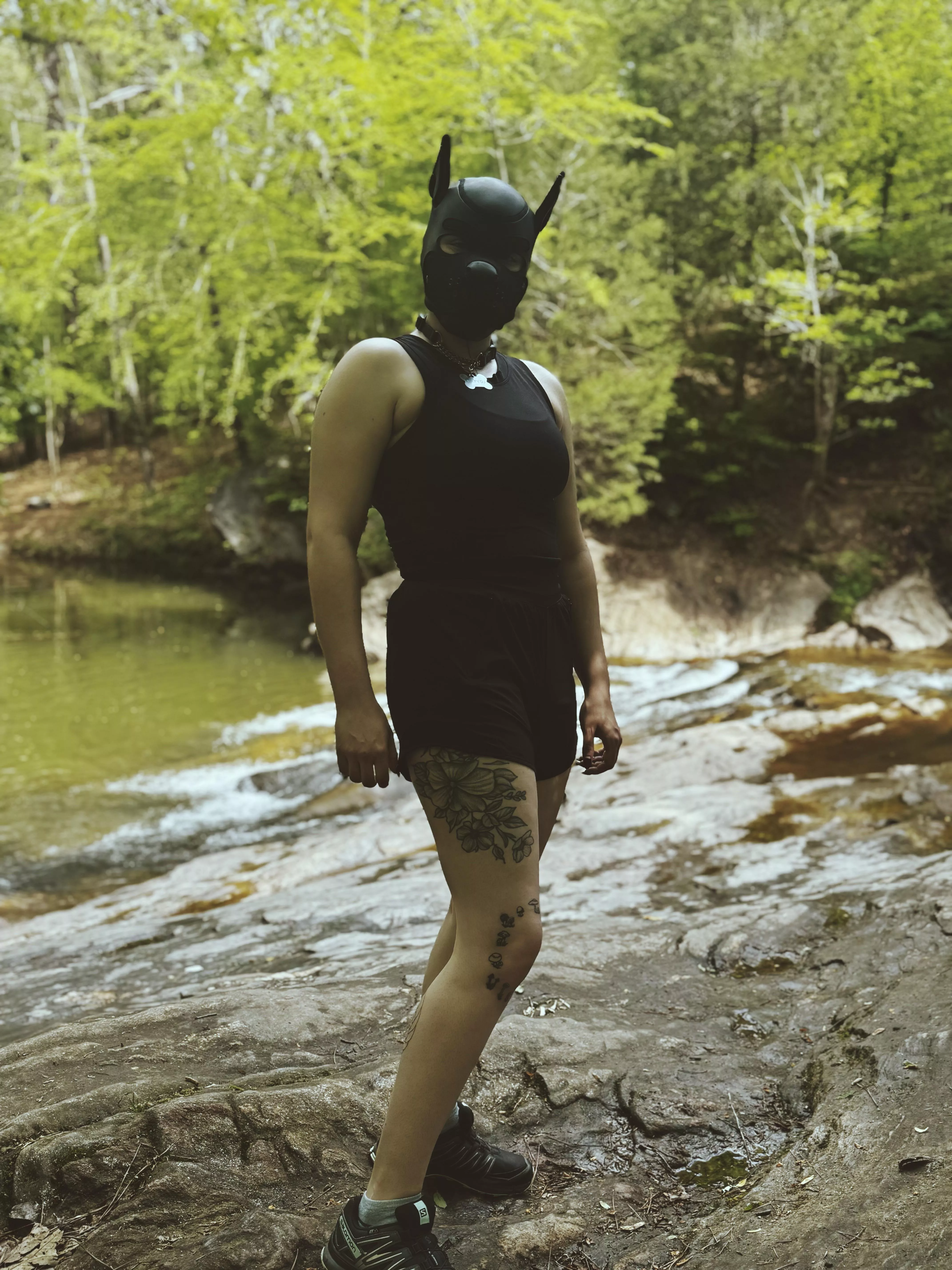 Puppy goes for a walk 🐾 