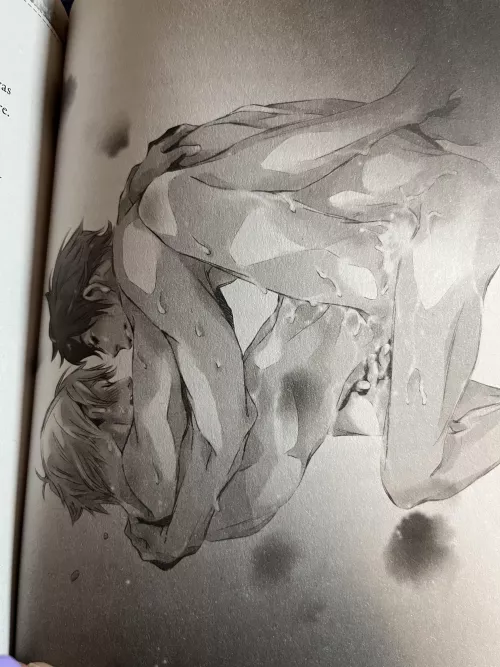 [Yes, No, Or Maybe?] Haven’t started reading it yet but I flipped through just to see some pics and 👀