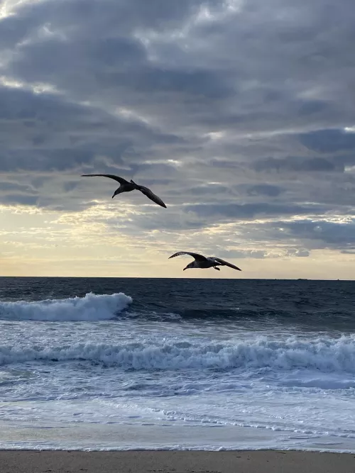 A chili morning on the Jersey shore🤙🏻🎶🎶