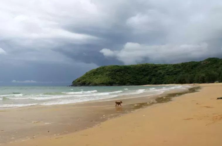 Bai Dam Trau, Vietnam