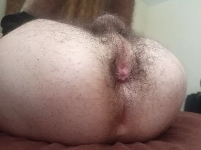 breed my hairy hole