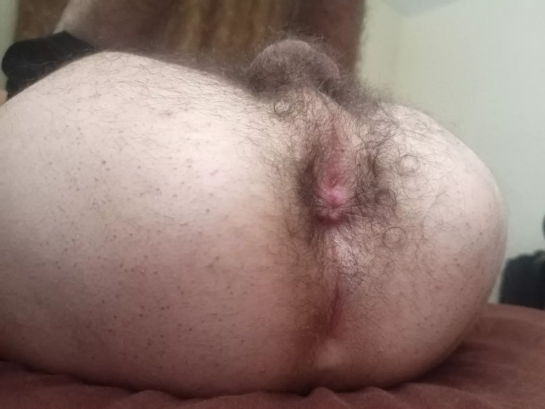 breed my hairy hole