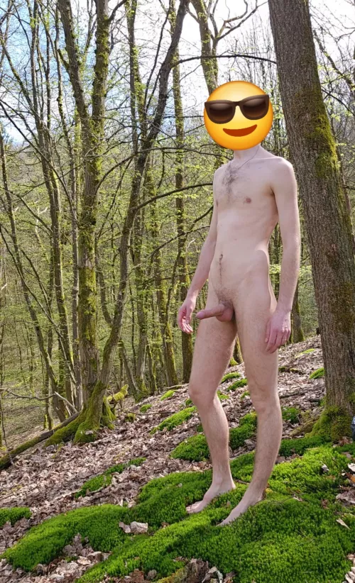 Cozy place for a picture 