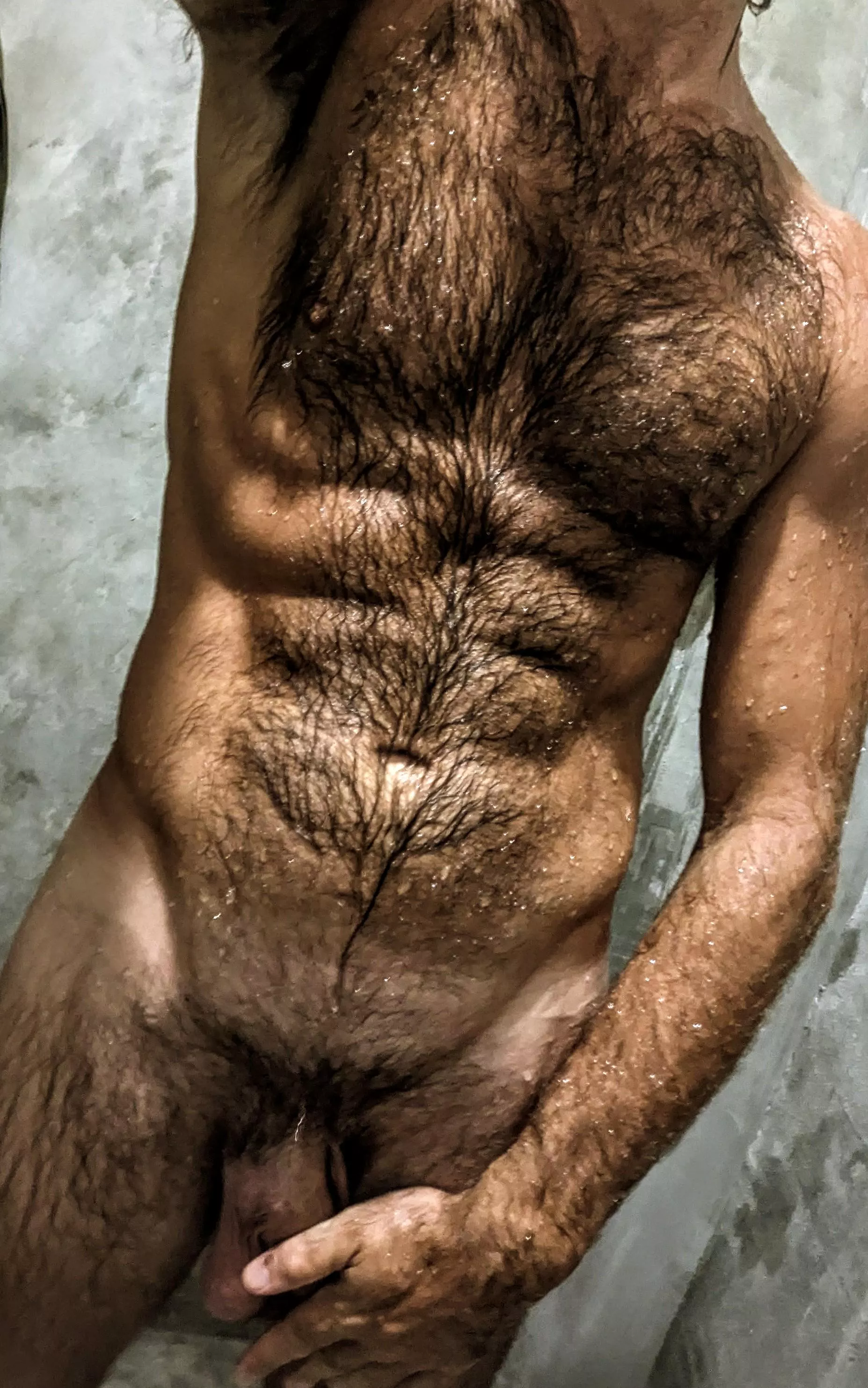 Do you prefer dark or light chest hair?