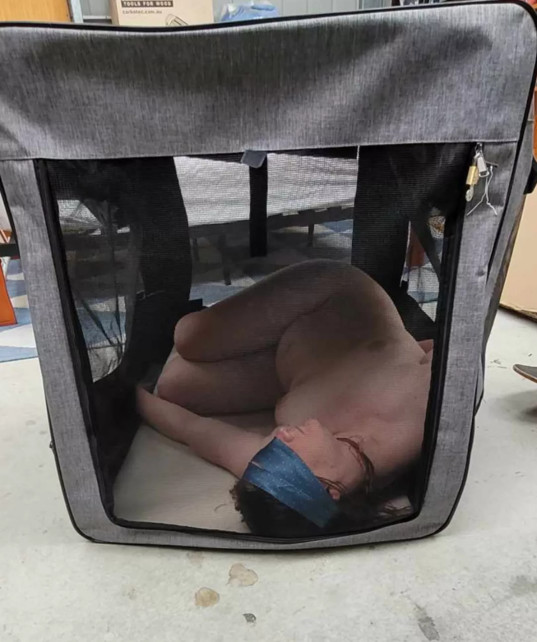 [F] When I'm not being used by Daddy or his friends.