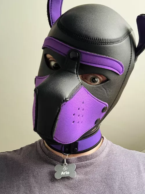 Finally got my own name tag and I love it! 💜🐶