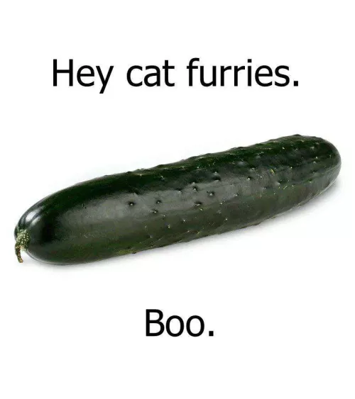 From a member of the rabbit furries lol