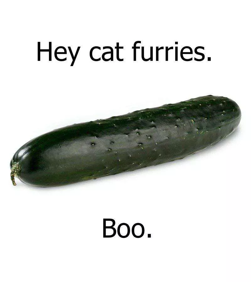 From a member of the rabbit furries lol