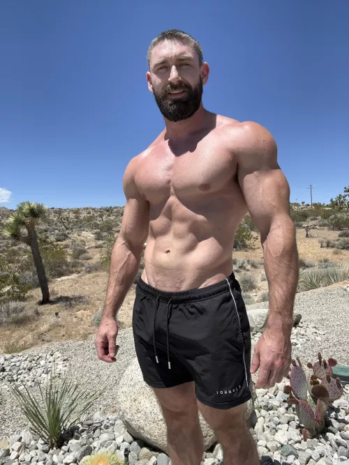 Hanging out in the desert 