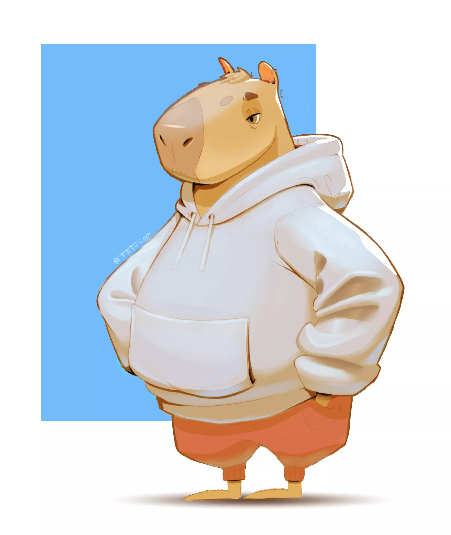 Hey guys it's my B-DAY and i drew my fursona Tatu