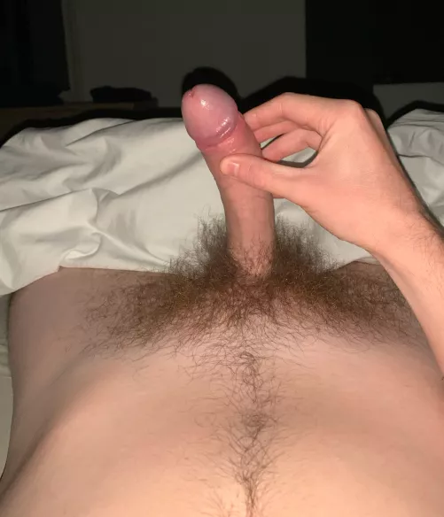 Is my bush impressive? 