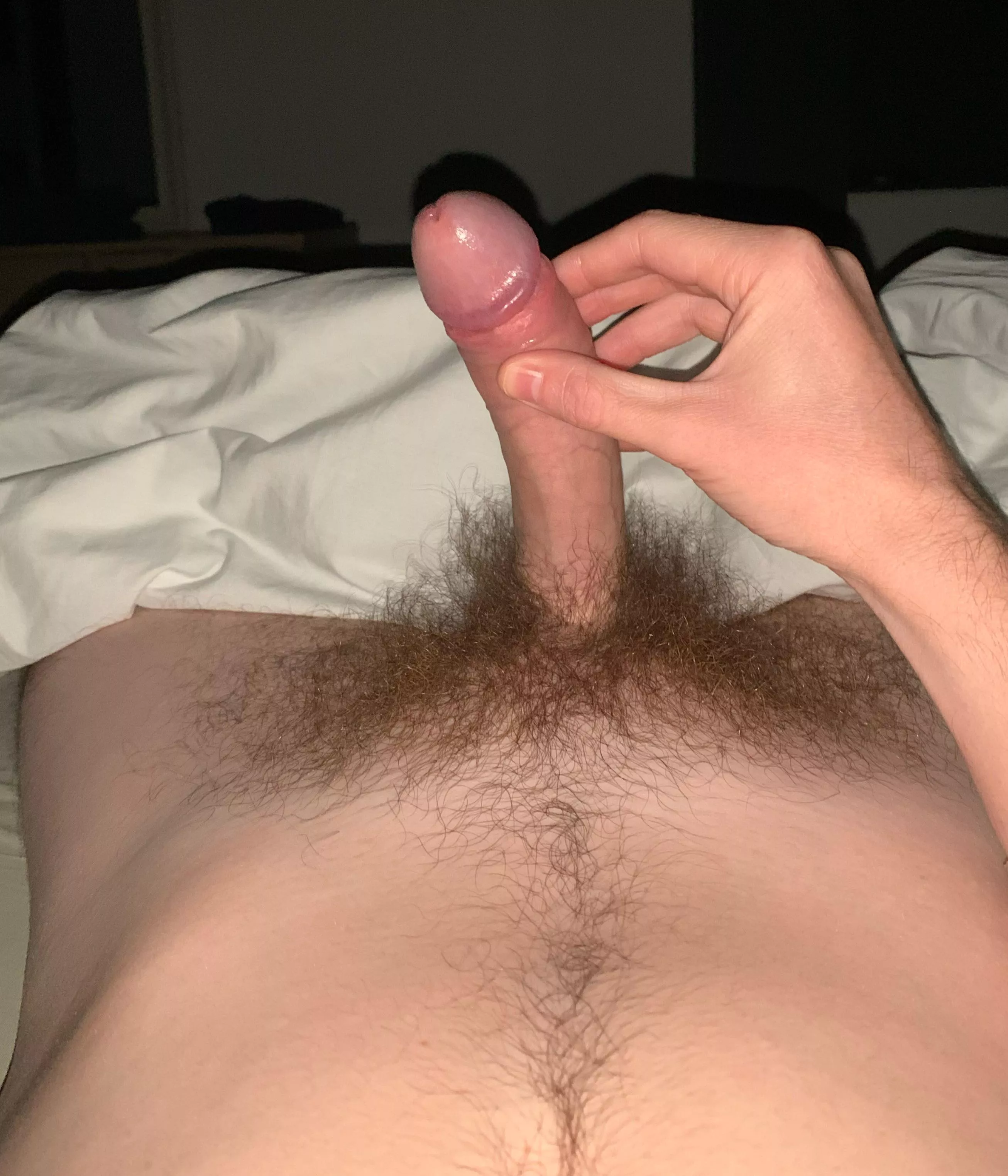 Is my bush impressive? 