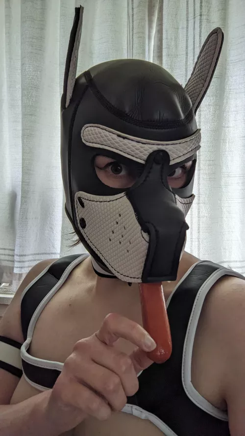 It's a dog eat dog world 🌭🐕‍🦺