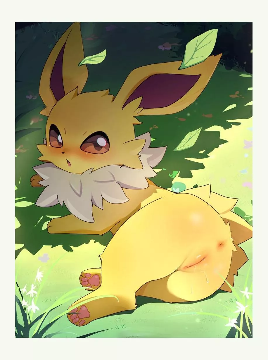 Jolteon [F] (rlong)