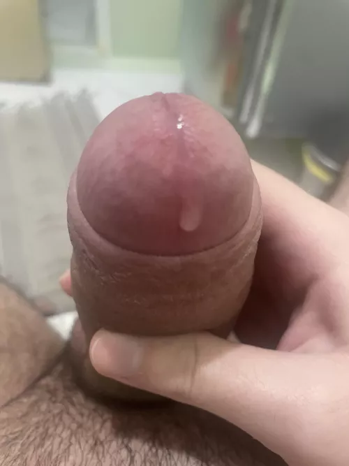 Morning wood and Wet