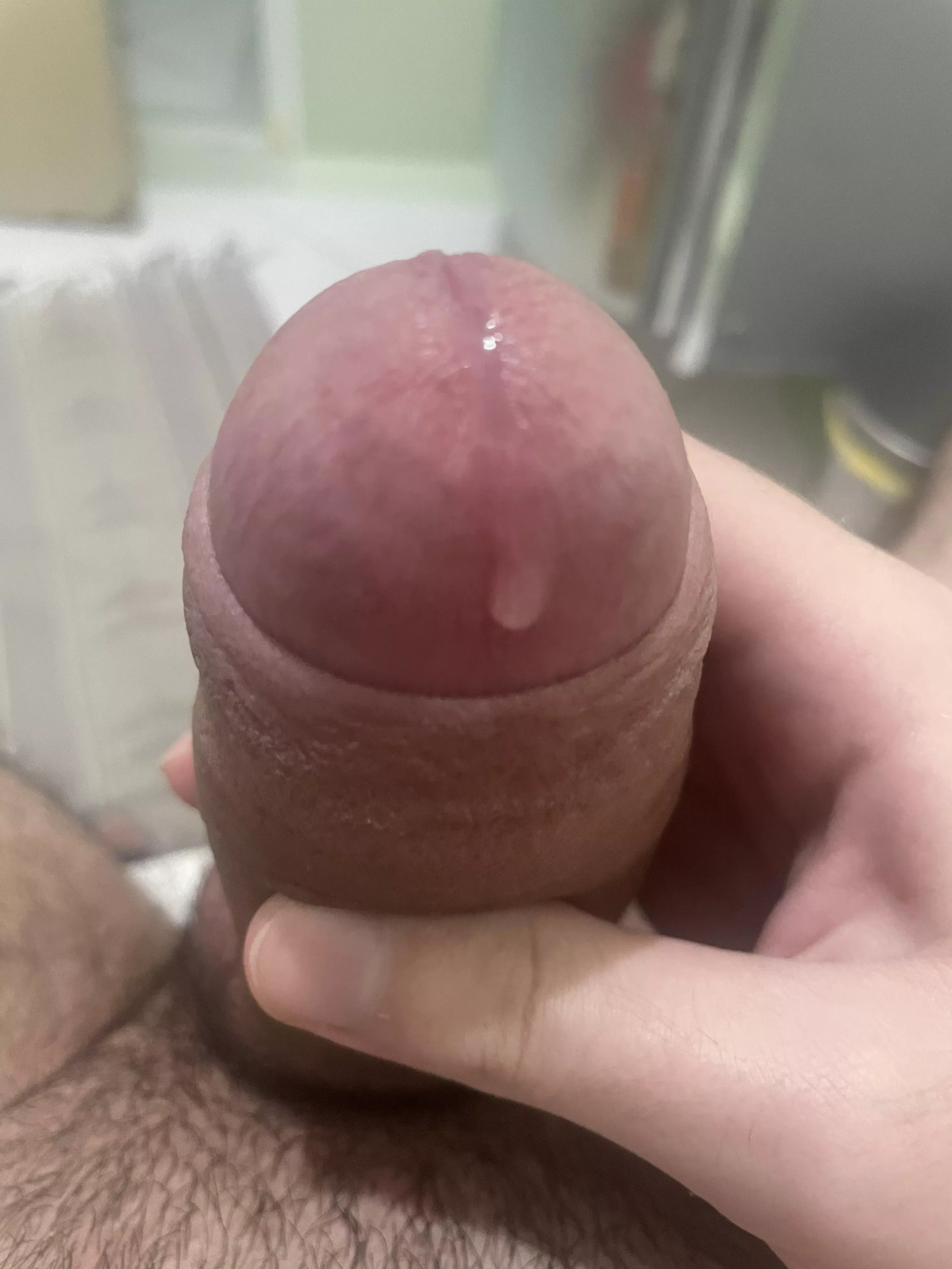 Morning wood and Wet