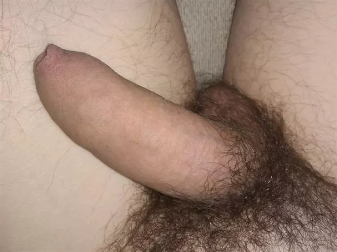 My Penis