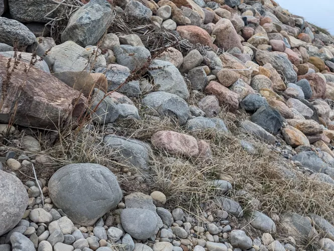 No judgement please but I am Beyond Broke hoping for a miracle wondering if is there anyone out that could help a girl out? In between pay cheques and need to get food and gas money. can pay back  on Friday 