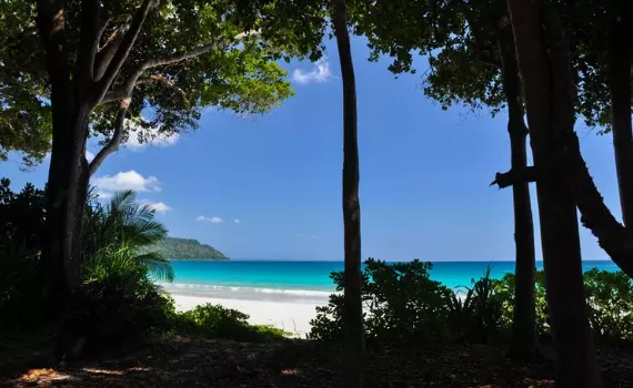 Radhanagar Beach, India