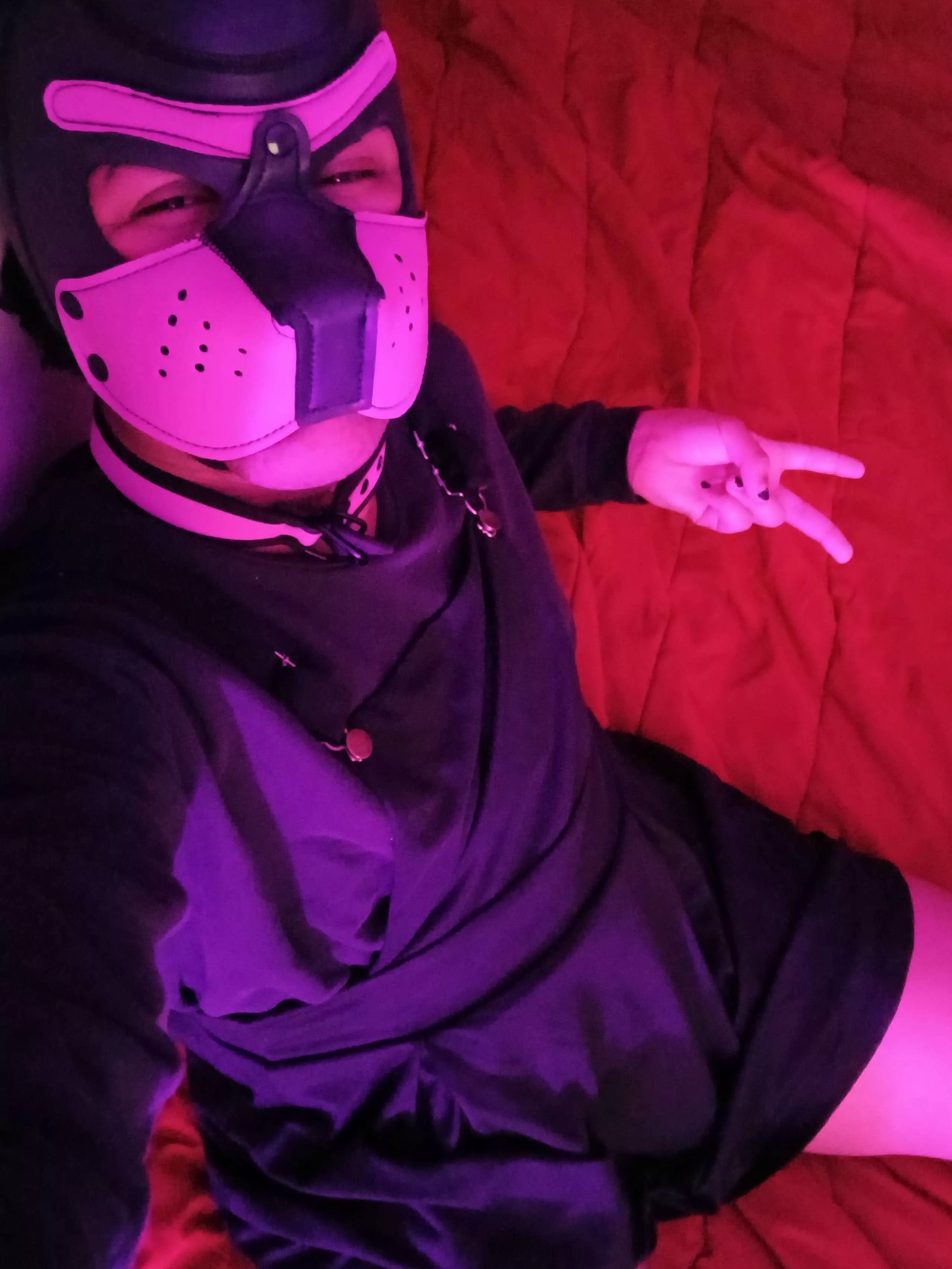 Very happy pup this afternoon