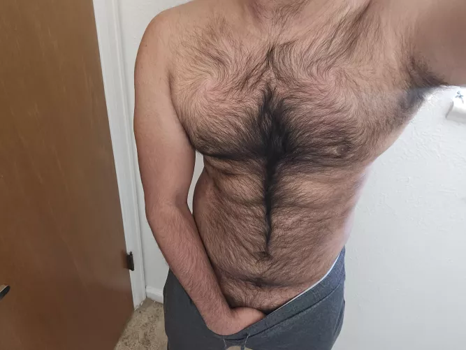 Wanna feel the root of this ash tree? 