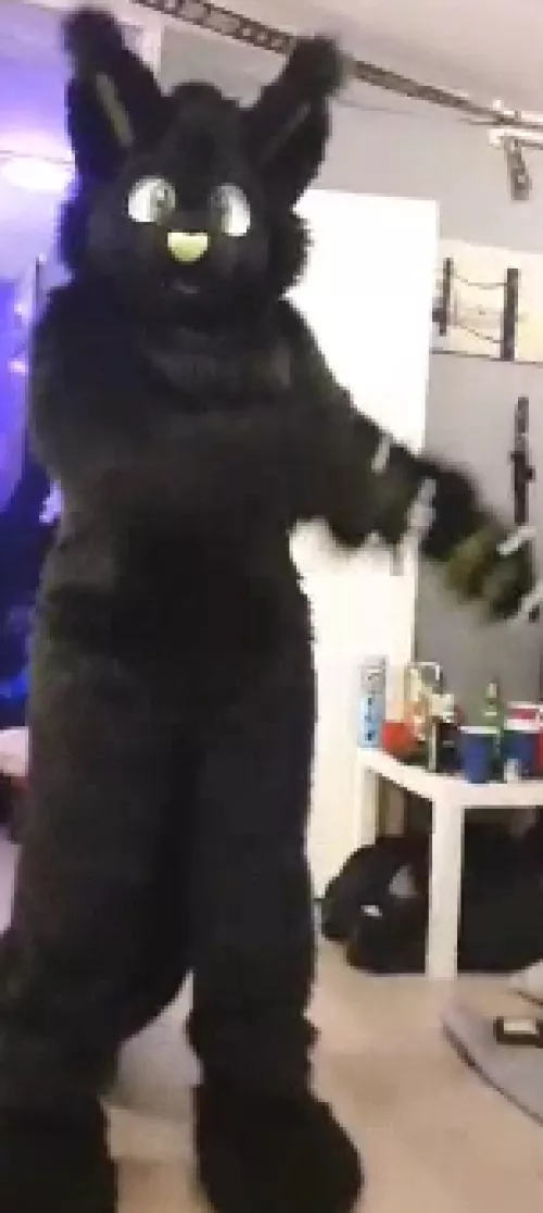 what species is this cutiepie? (not me)