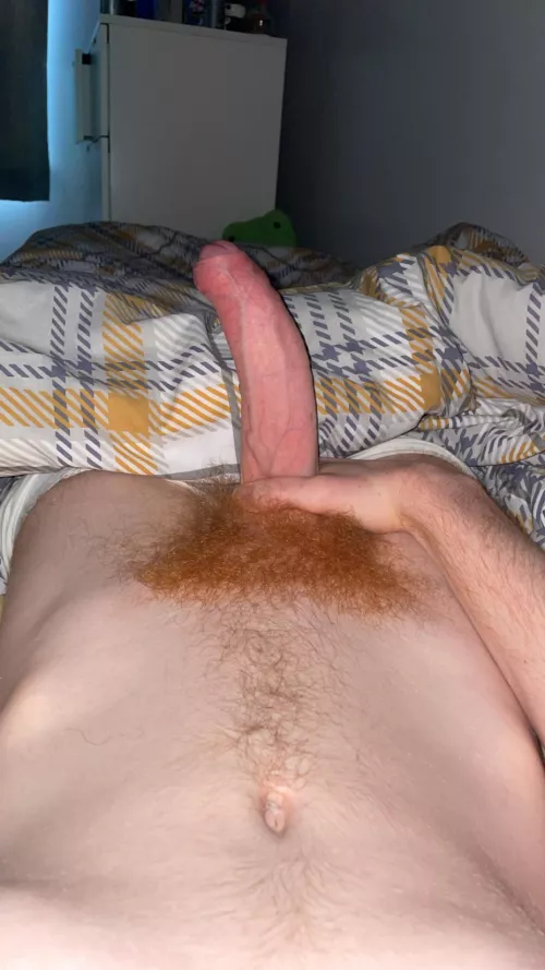 18, 9” curious, wanna jerk with bros. show face. snap: owen_0p0