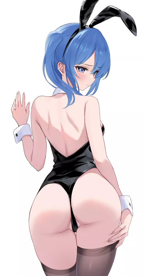 Bunny Girl Suisei [Hololive]