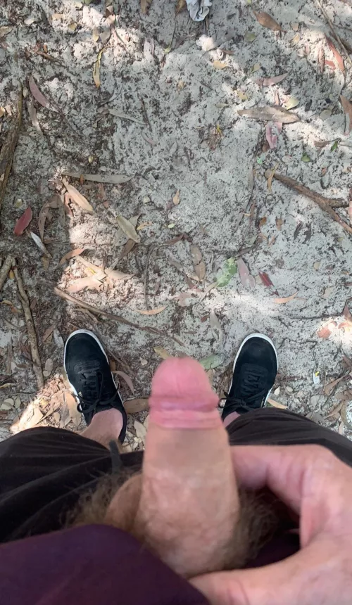 Cruising dunes in QLD Aus